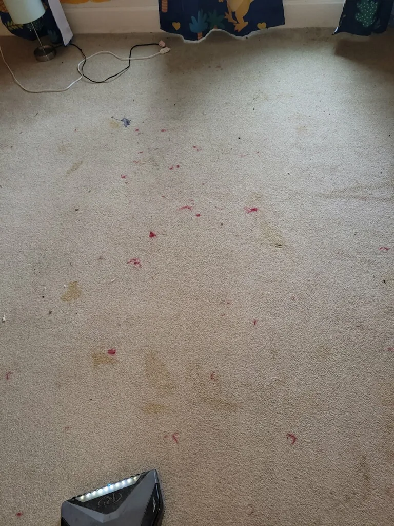 living room carpet before cleaning