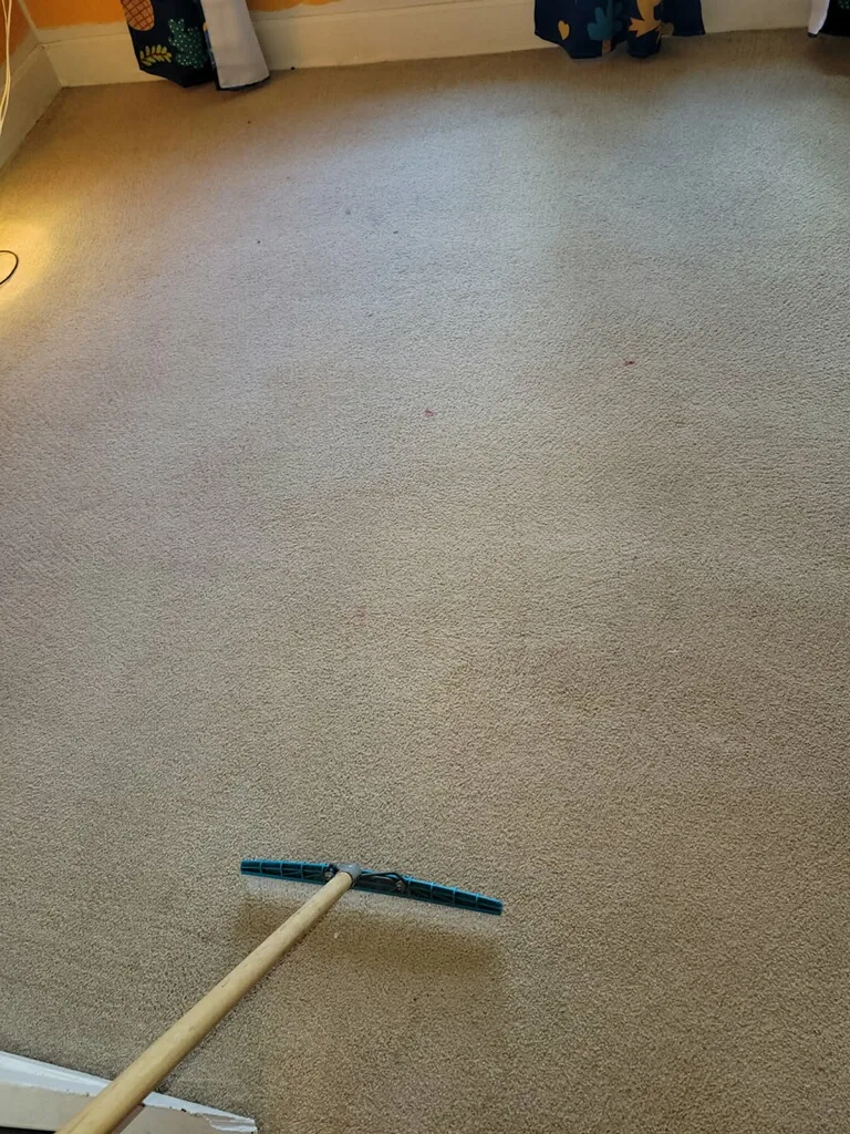 living room carpet after cleaning by Butler Total Cleaning