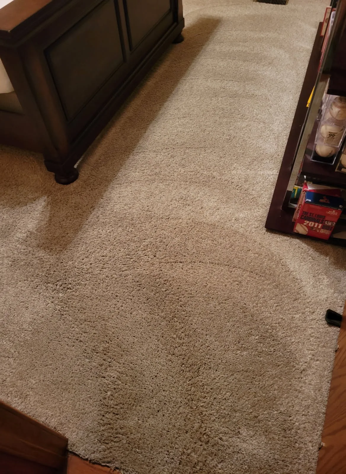 Clean carpet after cleaning in Ozark, MO
