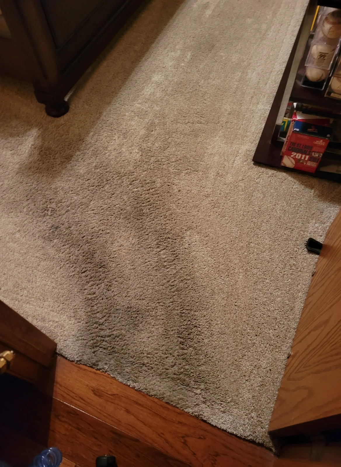 Soiled carpet before cleaning in Ozark, MO