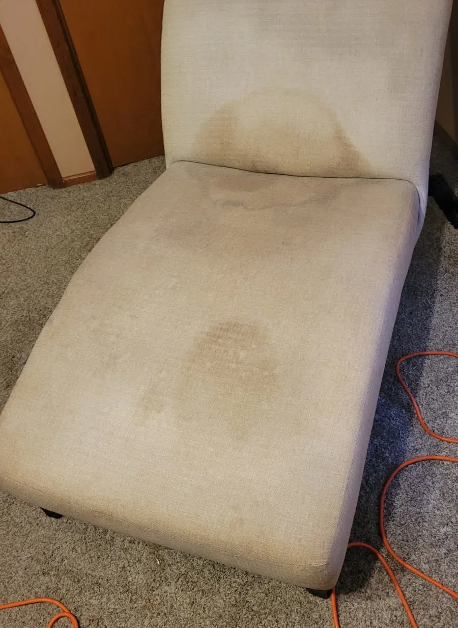 Carpet cleaning job in Republic, MO