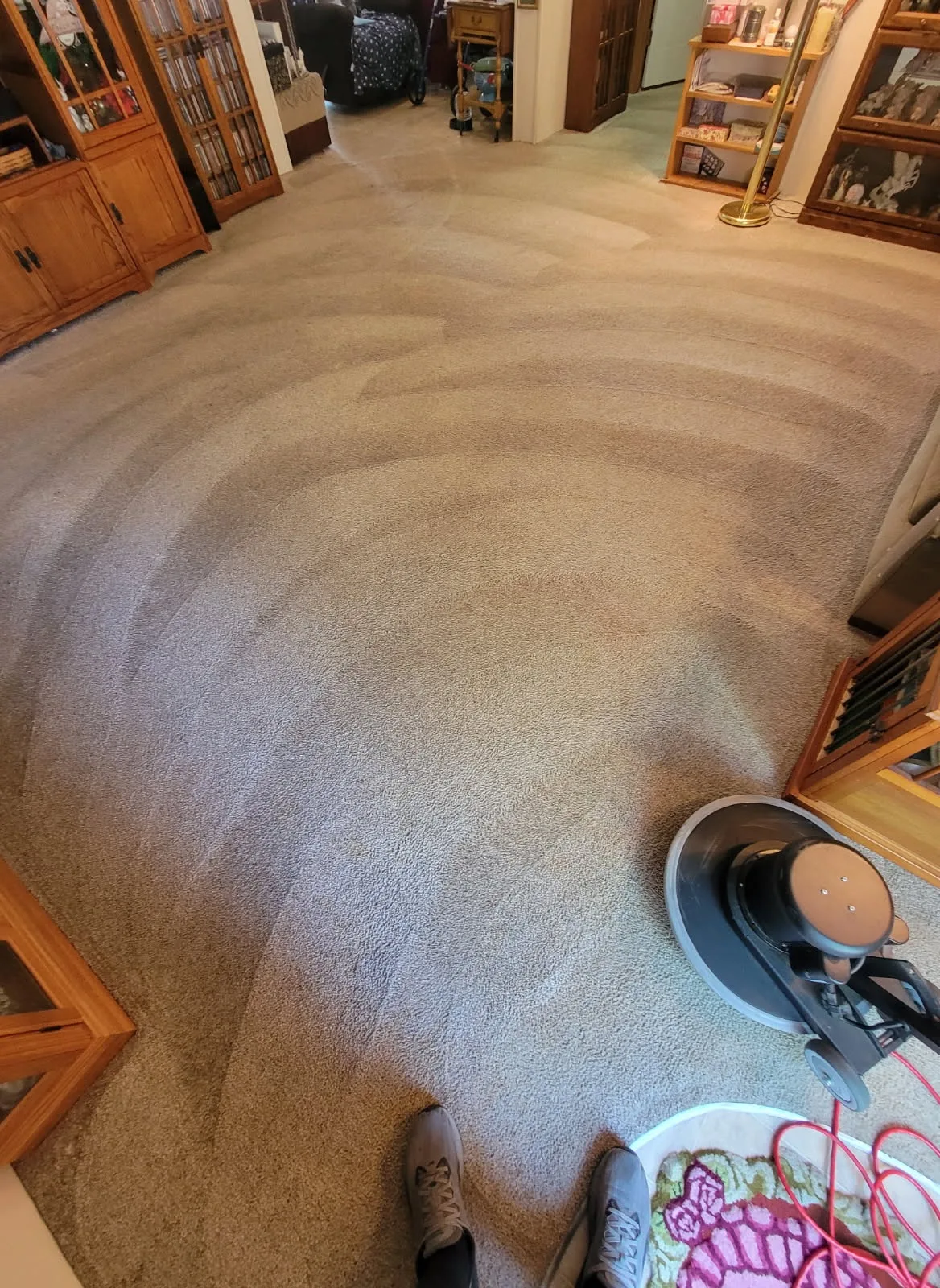 Clean carpet after cleaning in Springfield, MO
