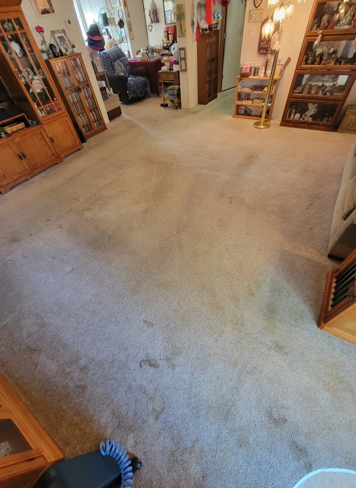 Soiled carpet before cleaning in Springfield, MO